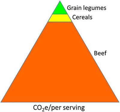 Rhizobial–Host Interactions and Symbiotic Nitrogen Fixation in Legume Crops Toward Agriculture Sustainability